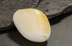 和田玉在哪里有出產(chǎn)？